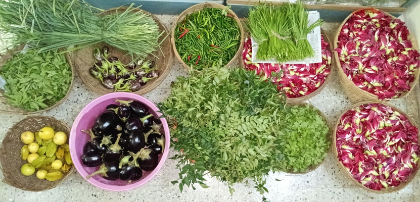 School Farms and Outreach